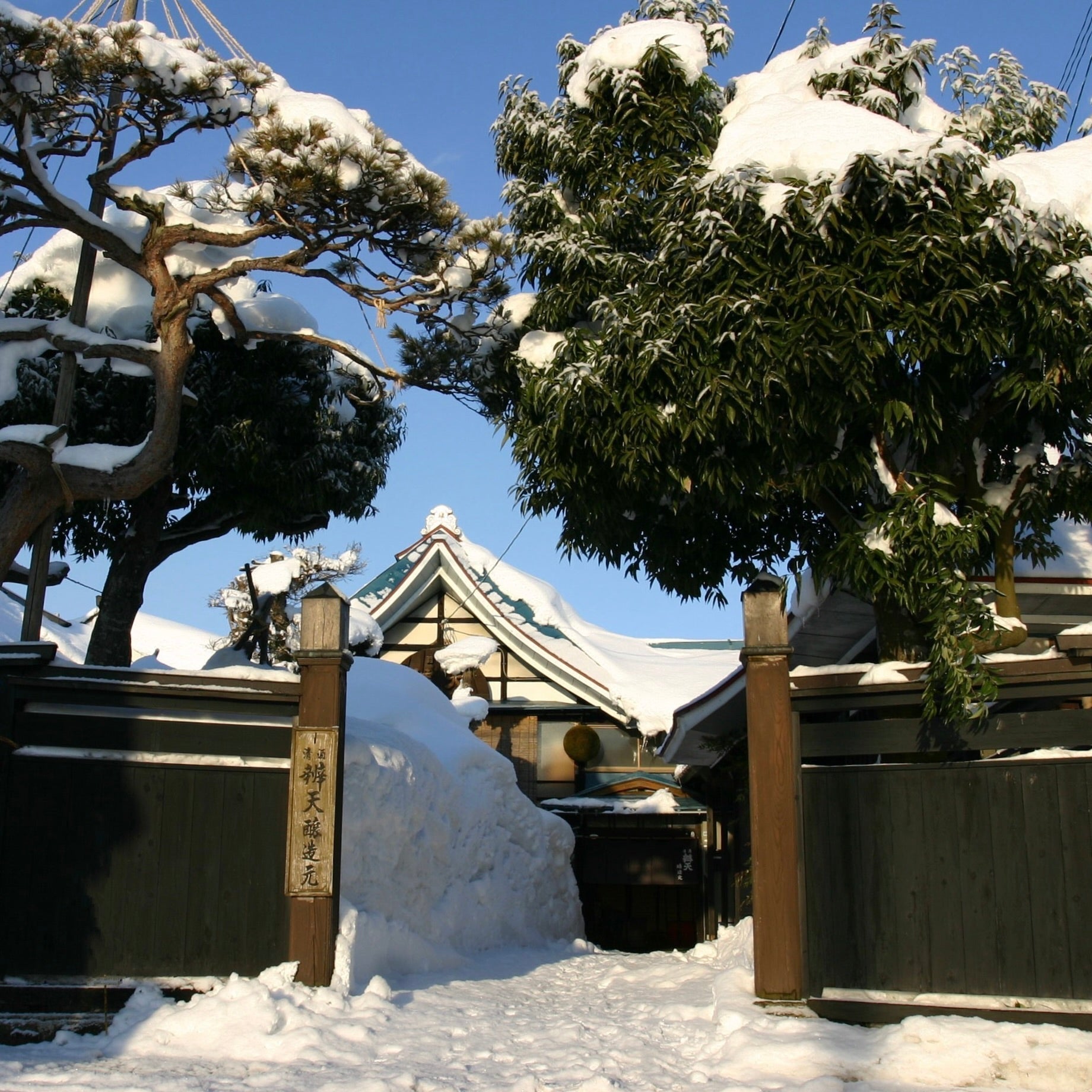 【酒蔵レポート】変わらない味を守るため。後藤酒造店と紡ぐ、まほろばの里の新しい景色