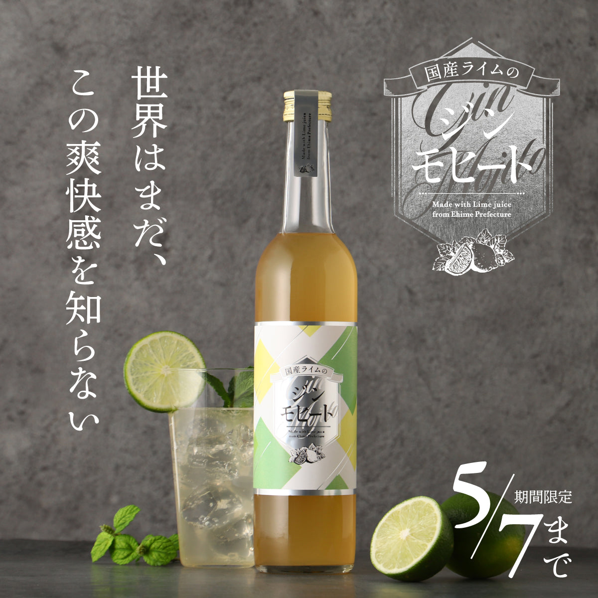【開発秘話】深い森の風が吹き抜ける。愛媛産ライムと和のジンが生む、極上のジンモヒート