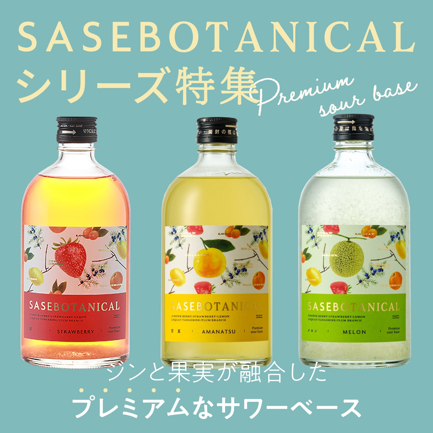 SASEBOTANICAL メロン | 長崎県のプレミアムサワーベース | 酒・日本酒