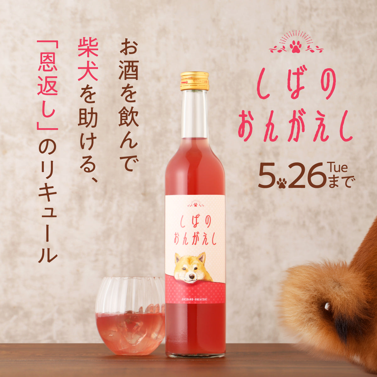 【開発秘話】いつもの晩酌が柴犬を助ける。桃と柚子が香る「恩返し」のリキュール