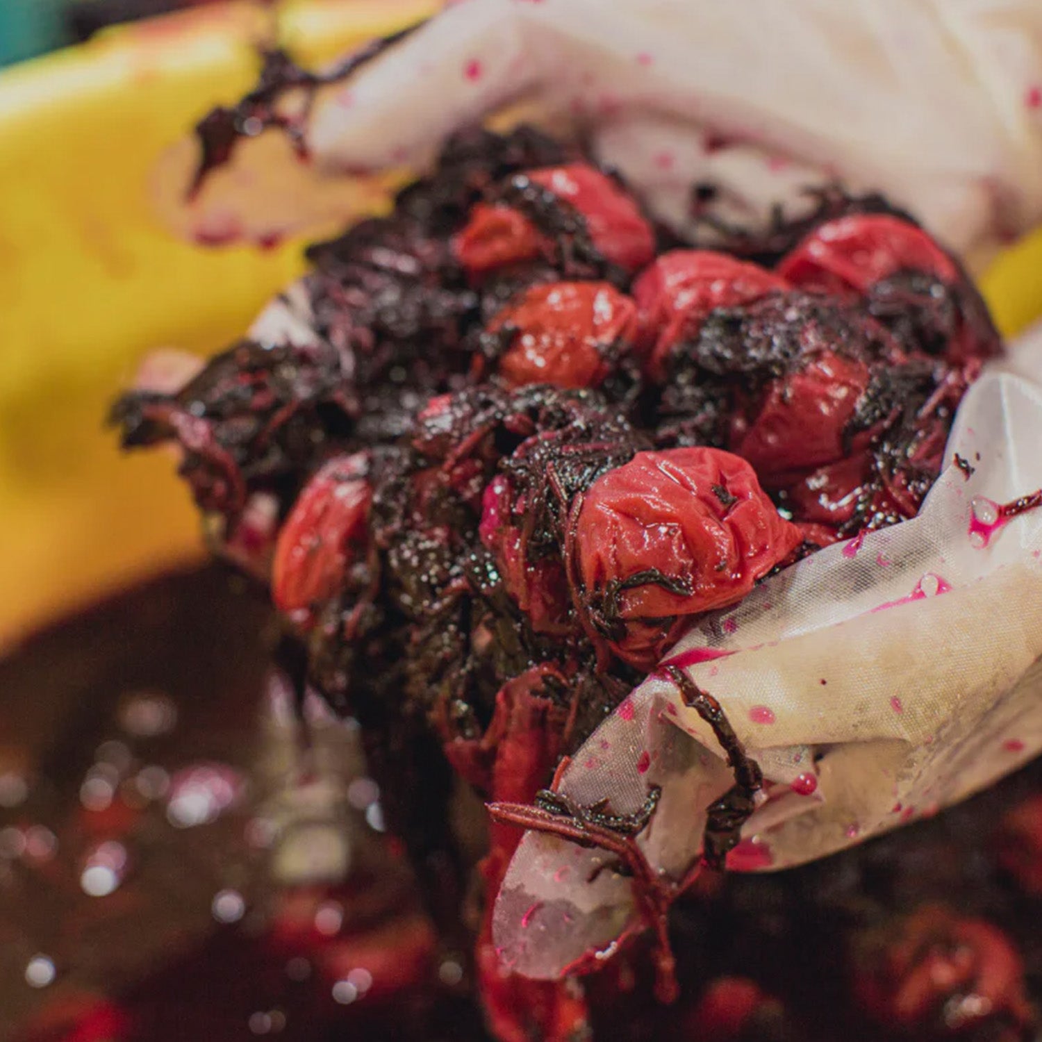 梅と紫蘇 / チューブ