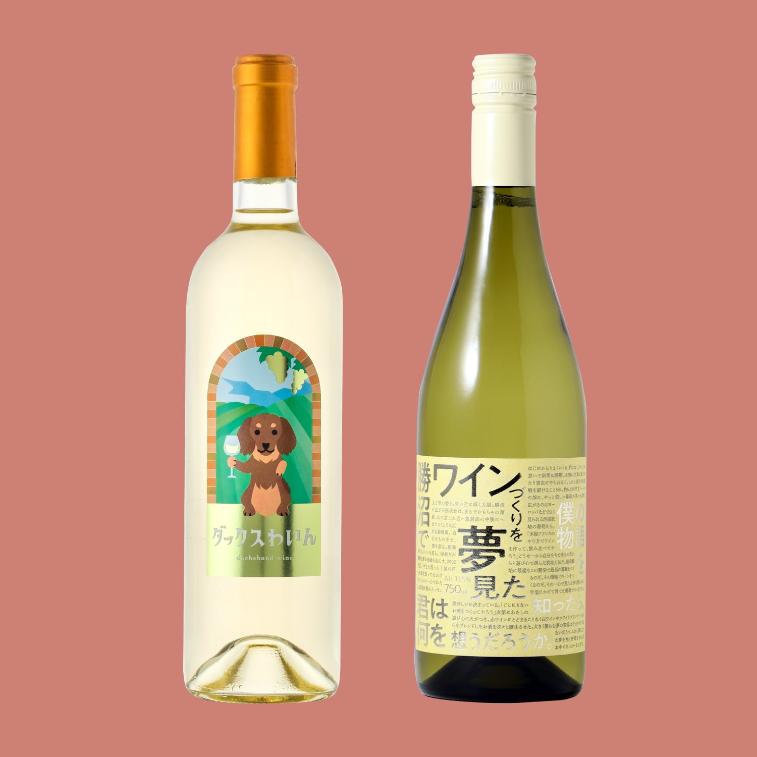 【30セット限定】山梨といえばワインセット