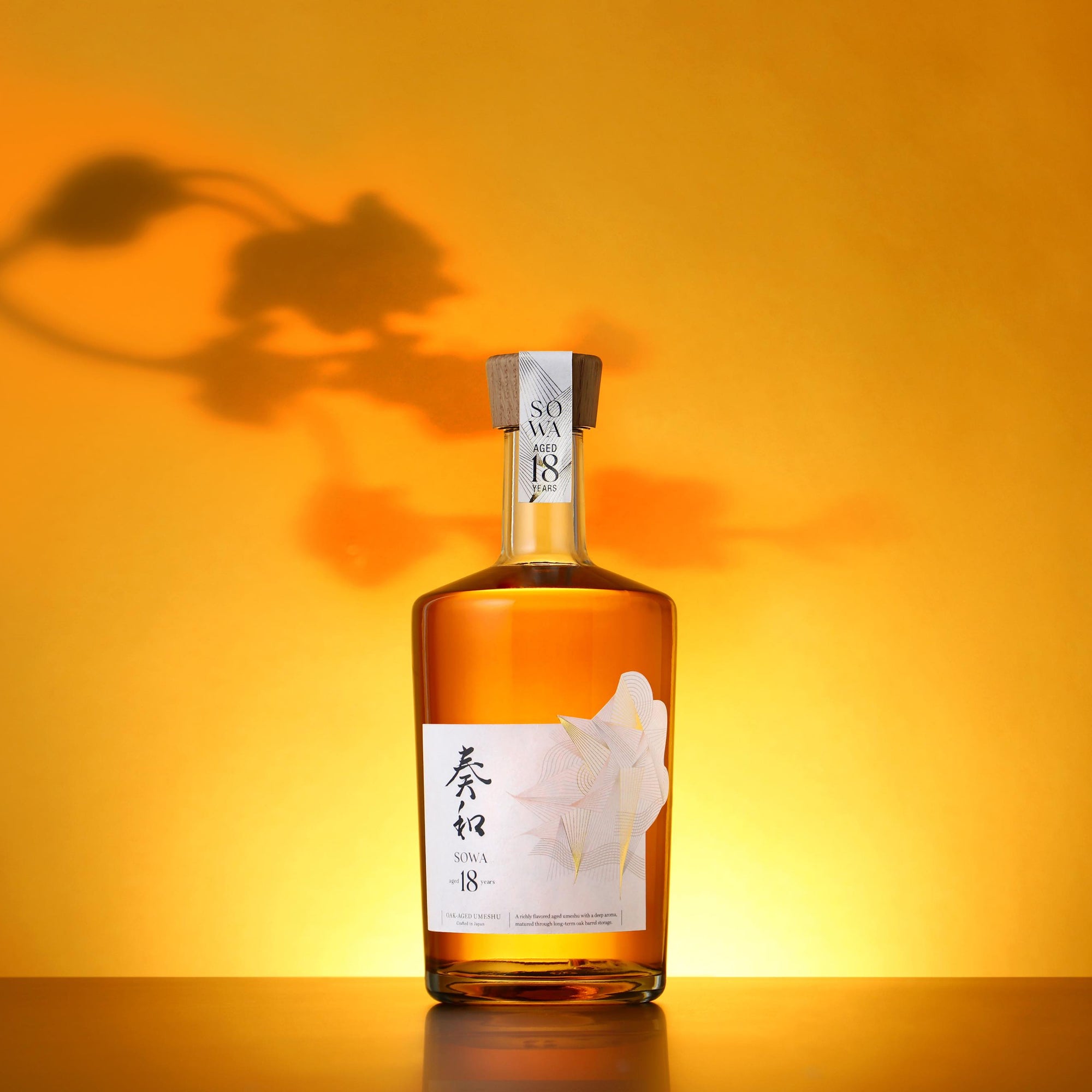奏和 18年