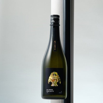 ALIENS GALAXY UNIVERSE