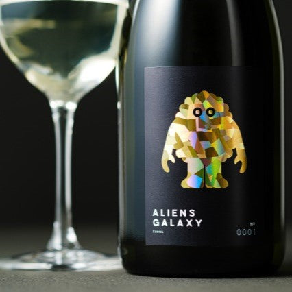 ALIENS GALAXY UNIVERSE