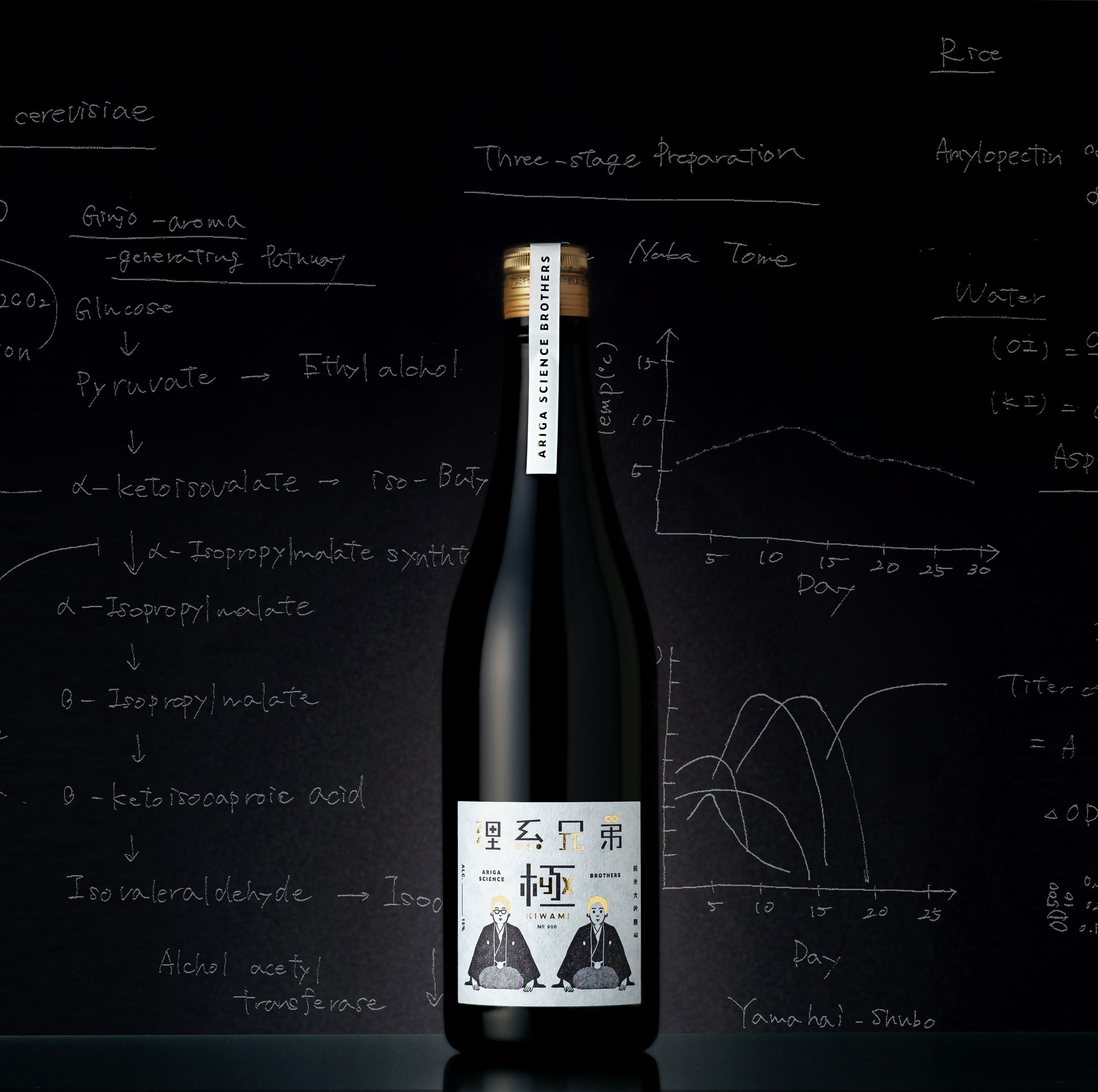 理系兄弟 極 2024