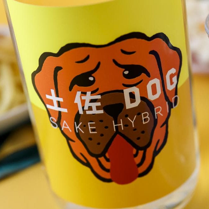 土佐DOG