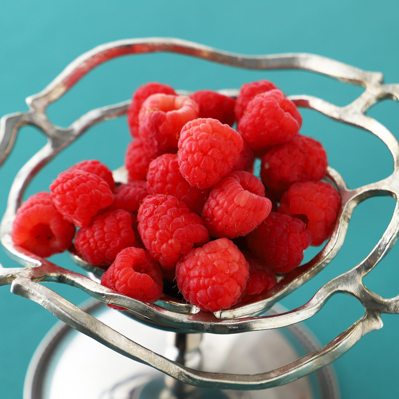 Queen Framboise