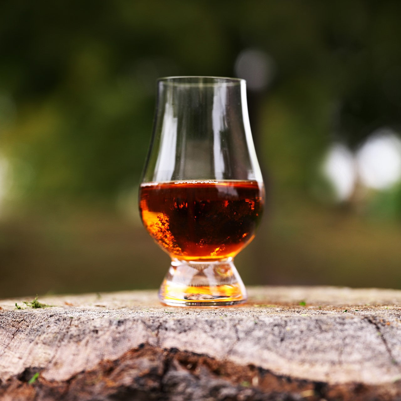 【個別案内ページ】AMBER GIN  螢ノ火 -Honoka-