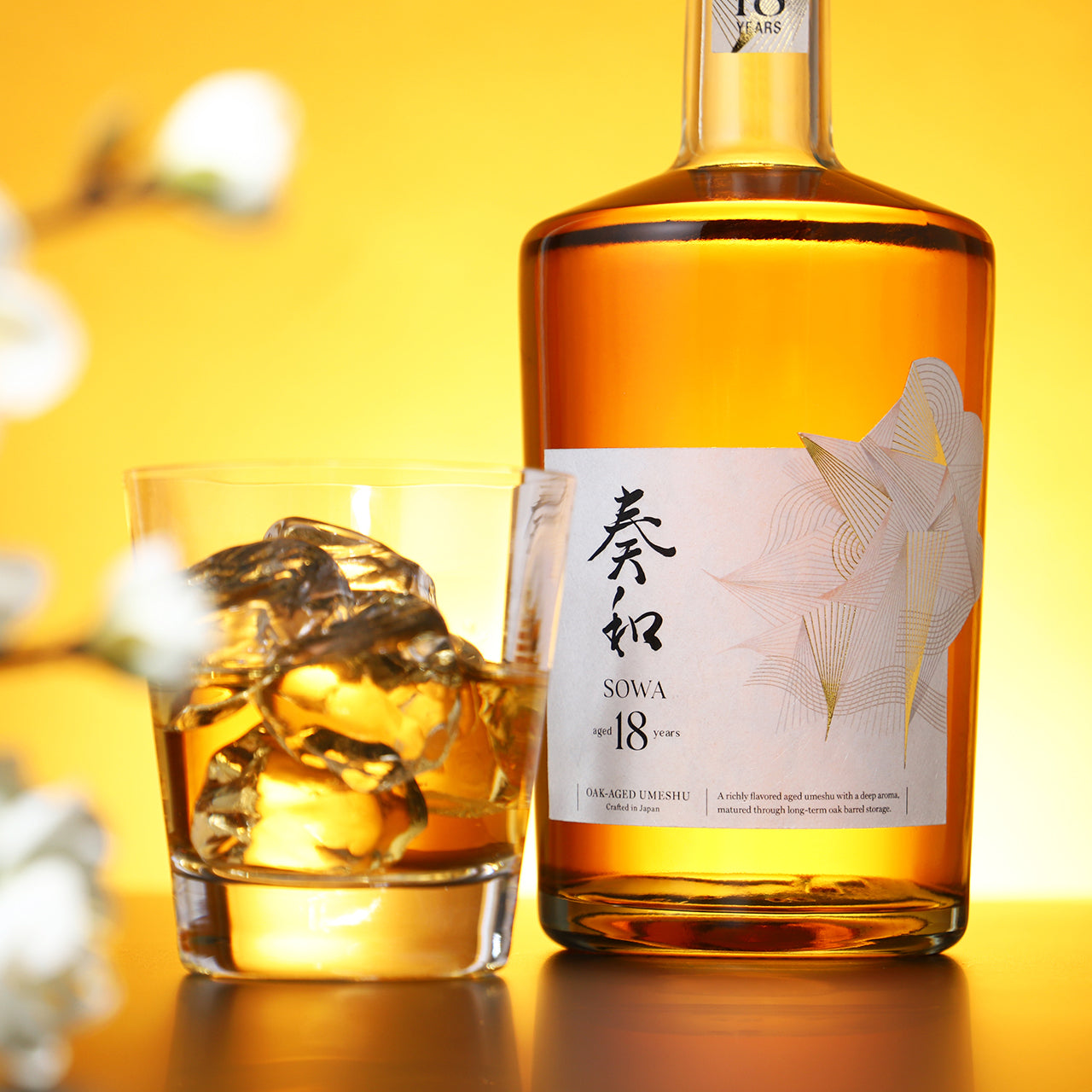 奏和 18年