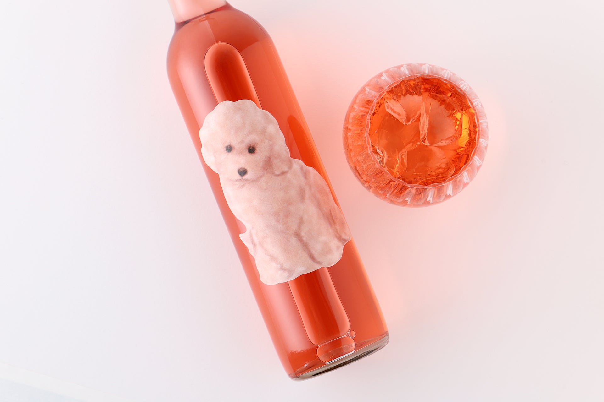 IMG_5530s_08339470-01bc-4045-