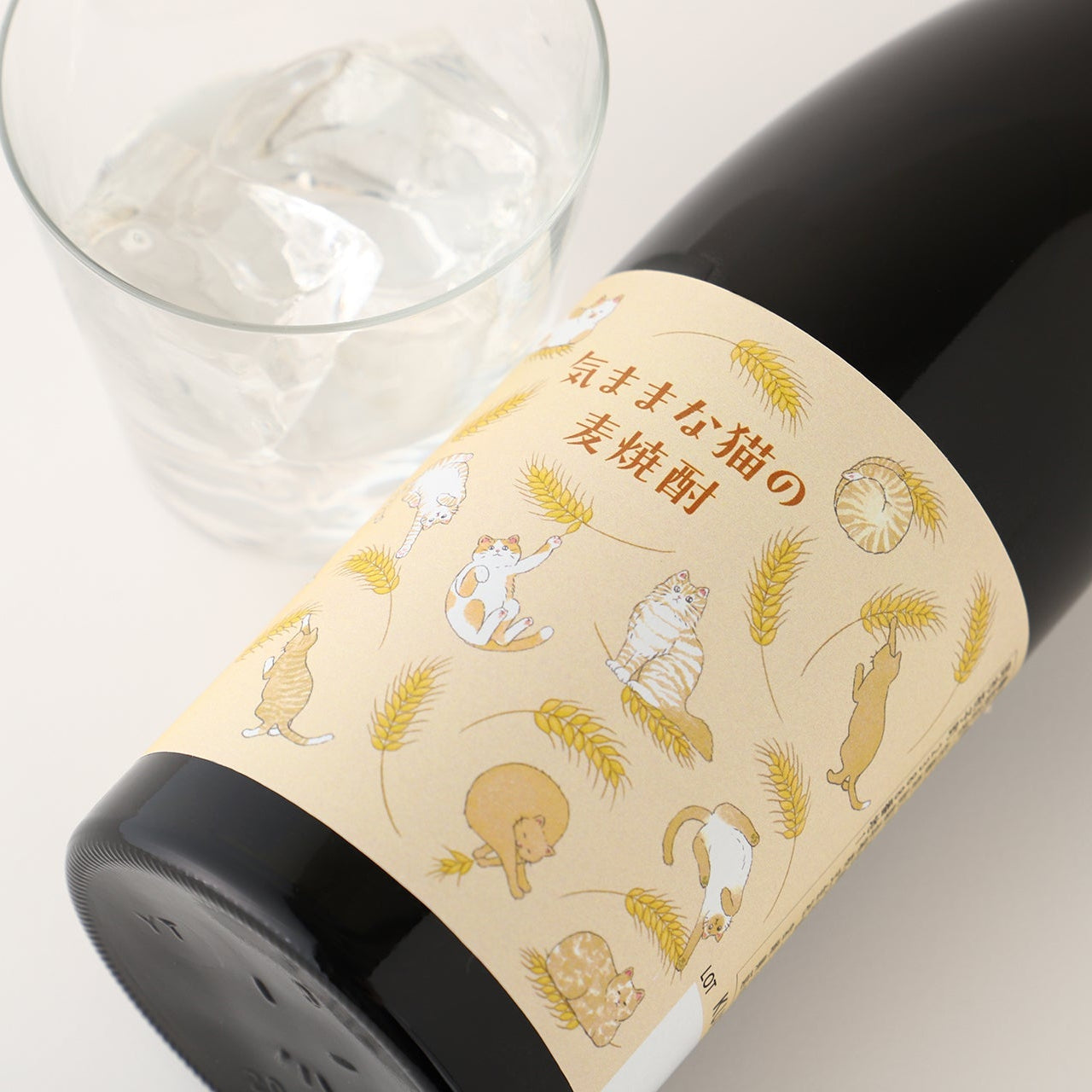 気ままな猫の麦焼酎