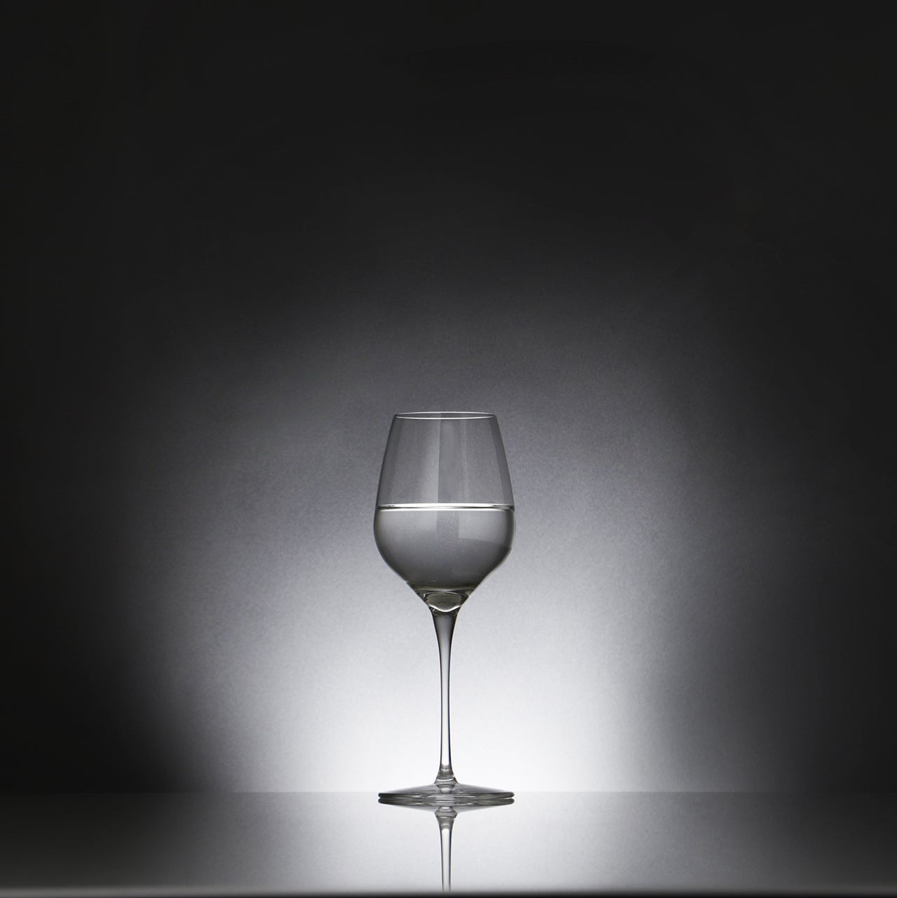 理系兄弟 黄金比