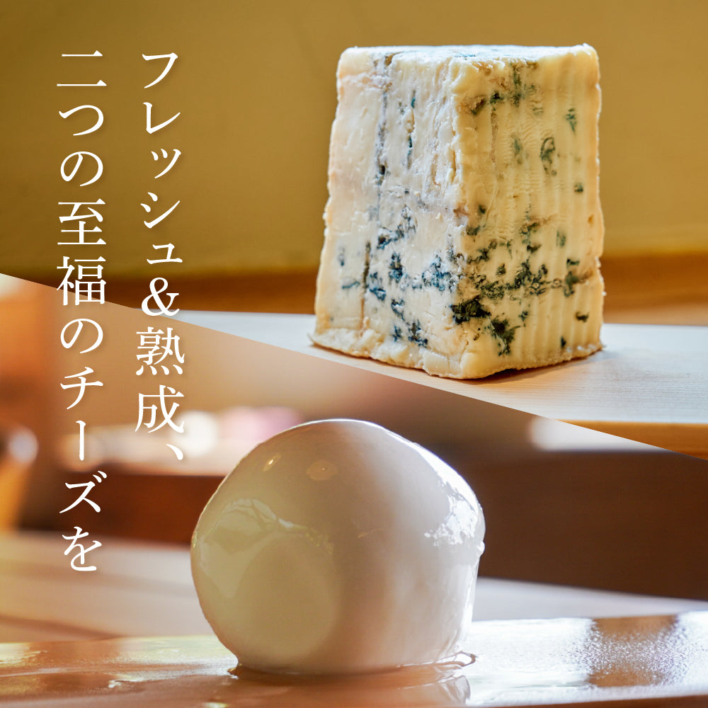 ブルービ―チ品！！ フレッシュモッツァレラチーズと芳醇ブルーチーズ | のおつまみ