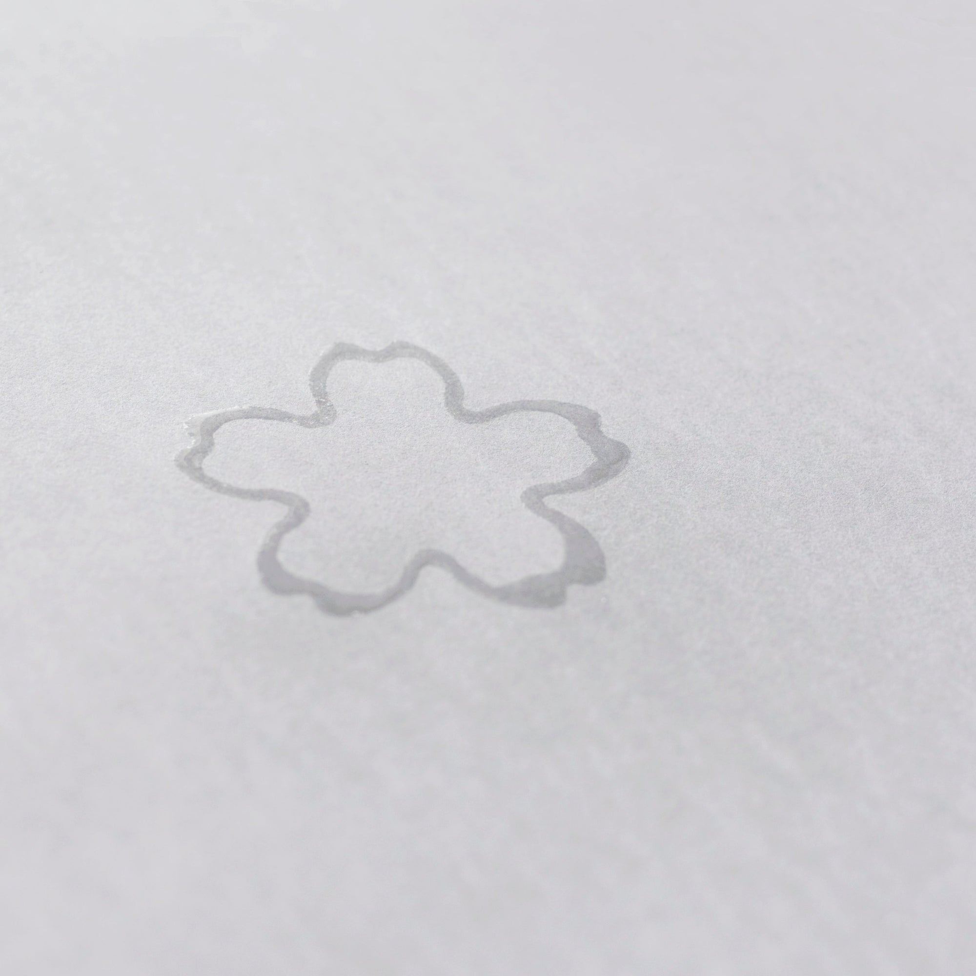 桜の花が咲くタンブラー / さくらさく