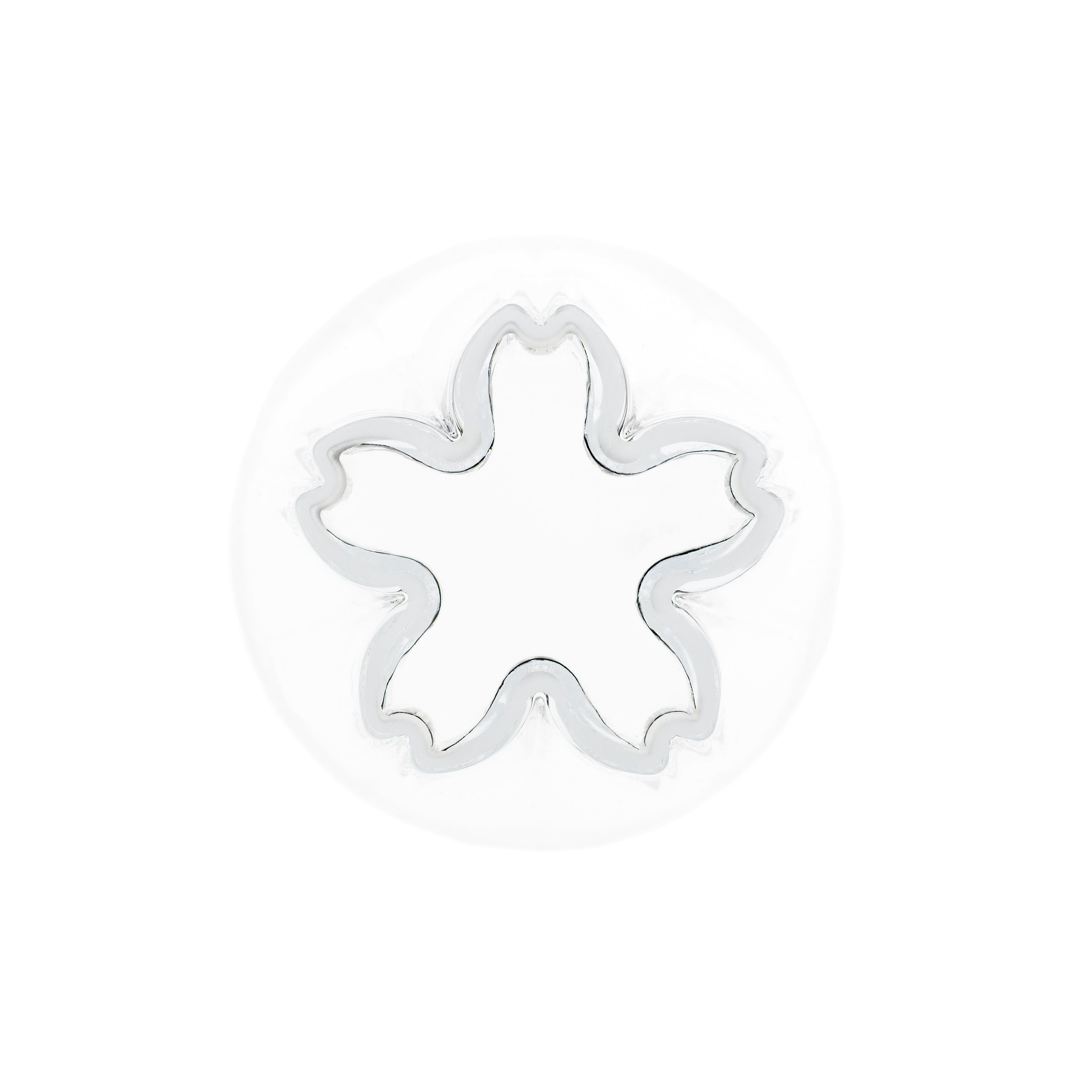 桜の花が咲く日本酒グラス / さくらさく | の酒器・グラス | クラフト