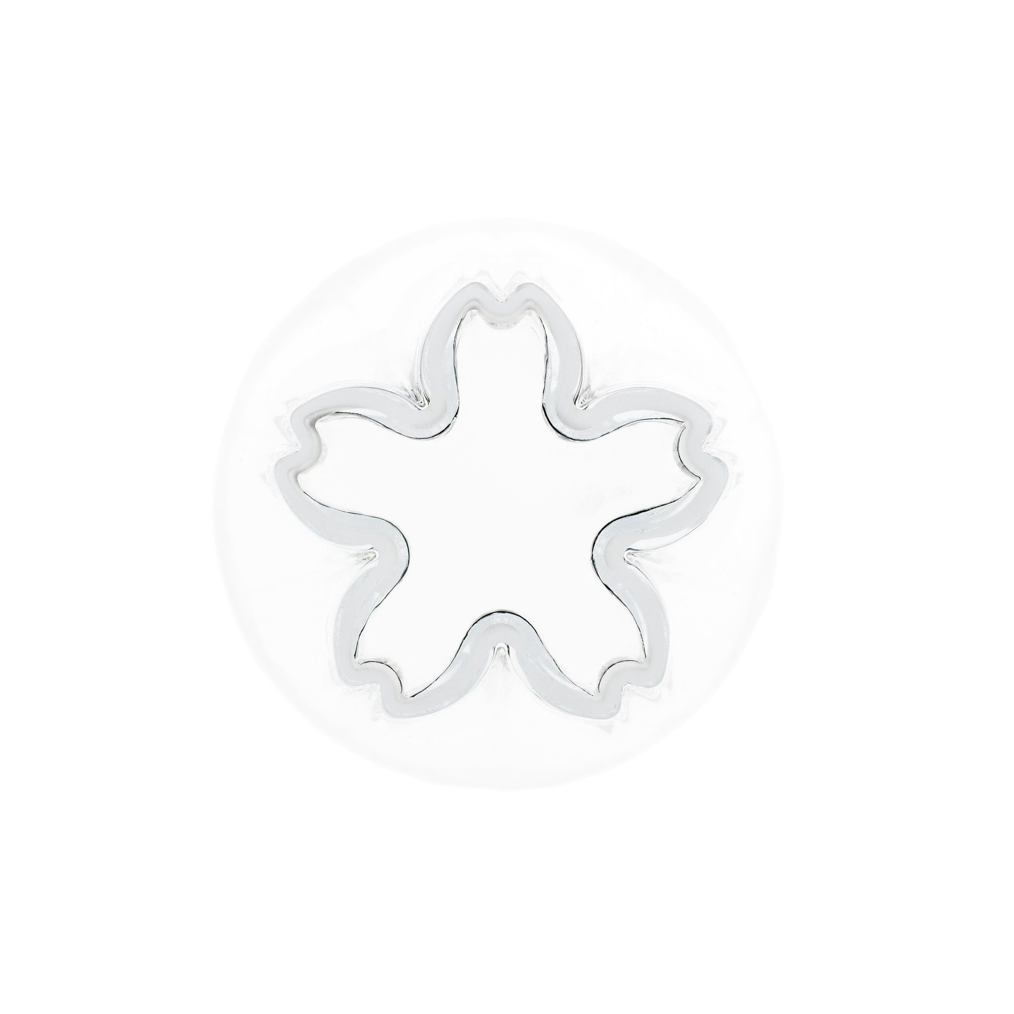 桜の花が咲くタンブラー / さくらさく