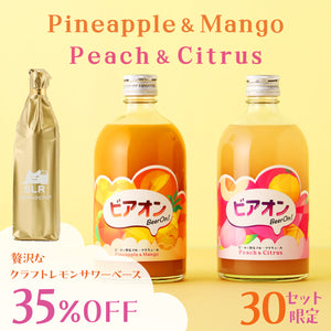 【今夜の楽しみ厳選クラフト酒堪能セット】ビアオン -ビールで割るフルーツリキュール- 2本セット ＋ 贅沢なクラフトレモンサワーベース