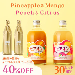 【至福のひととき極上クラフト酒堪能セット】ビアオン -ビールで割るフルーツリキュール- 2本セット ＋ 2種類の贅沢なクラフトレモンサワーベース