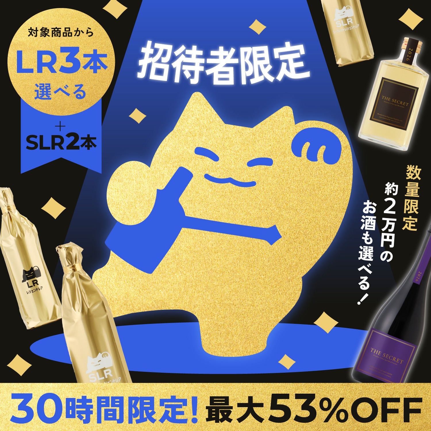 【招待者限定】最大53％OFF！ブラックフライデー SECRET【SLR2本実質無料】