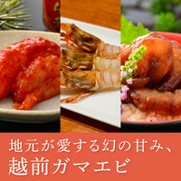 越前ガマエビ 2パック+越前甘エビのキムチ+越前甘えび漬け