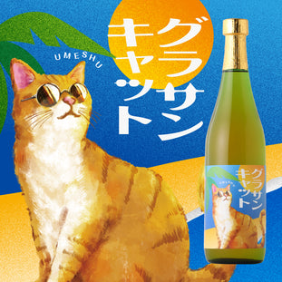 グラサンキャット