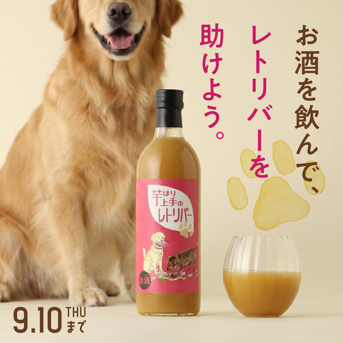 美味しいスイートポテトのお酒を飲んで、保護犬活動を支援する「芋ほり上手のレトリバー」プロジェクト