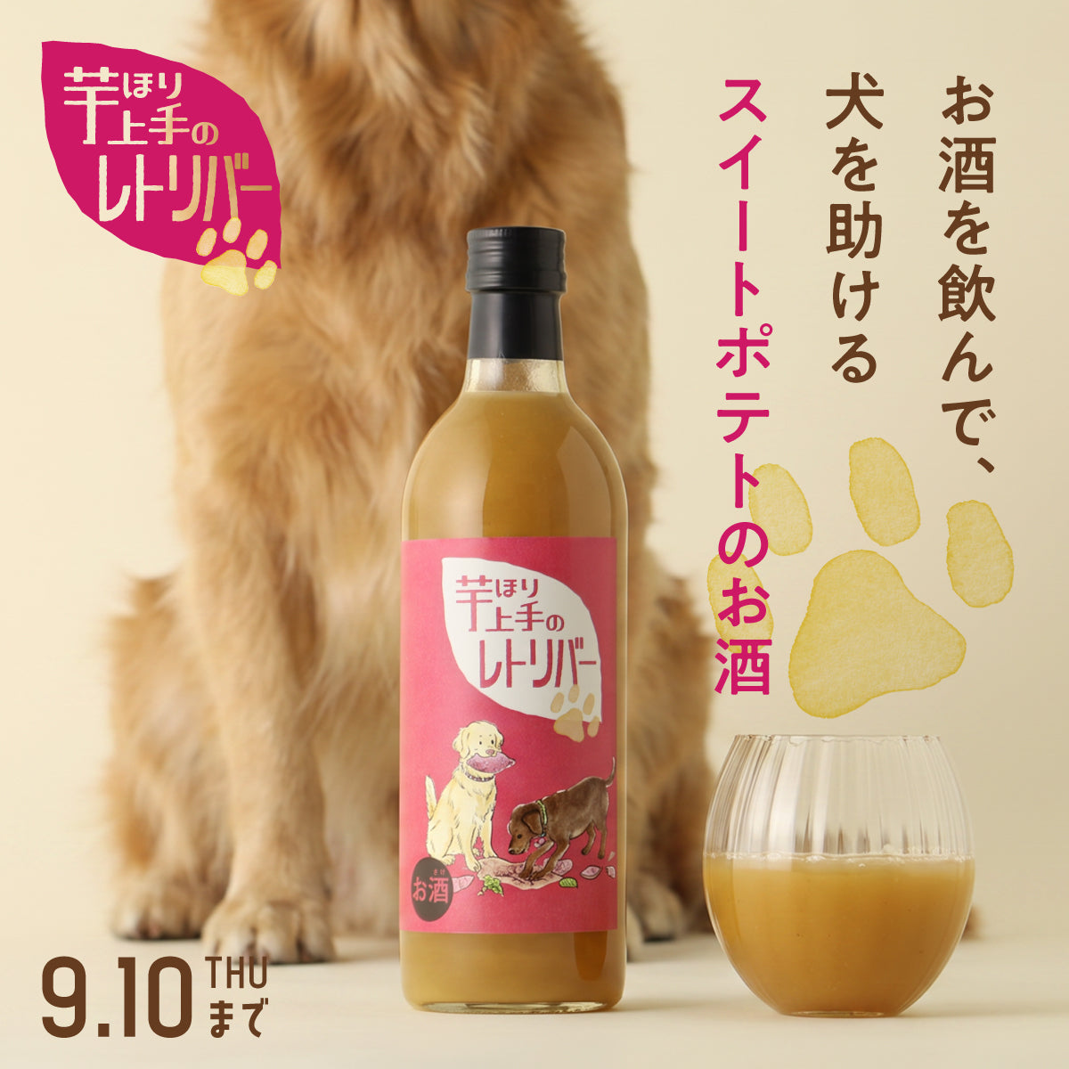 美味しいスイートポテトのお酒を飲んで、保護犬活動を支援する「芋ほり上手のレトリバー」プロジェクト