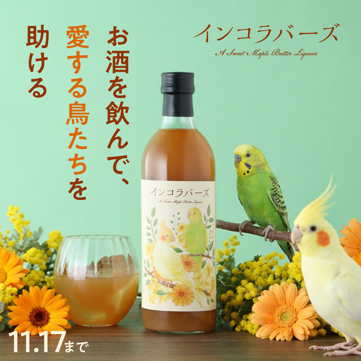 インコ特有の愛らしい香りをイメージした濃厚メープルバターリキュール「インコラバーズ」