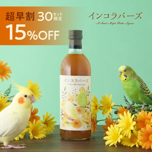 【超早割】インコラバーズ