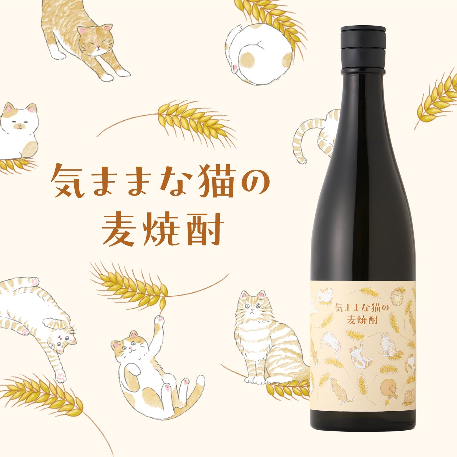 気ままな猫の麦焼酎