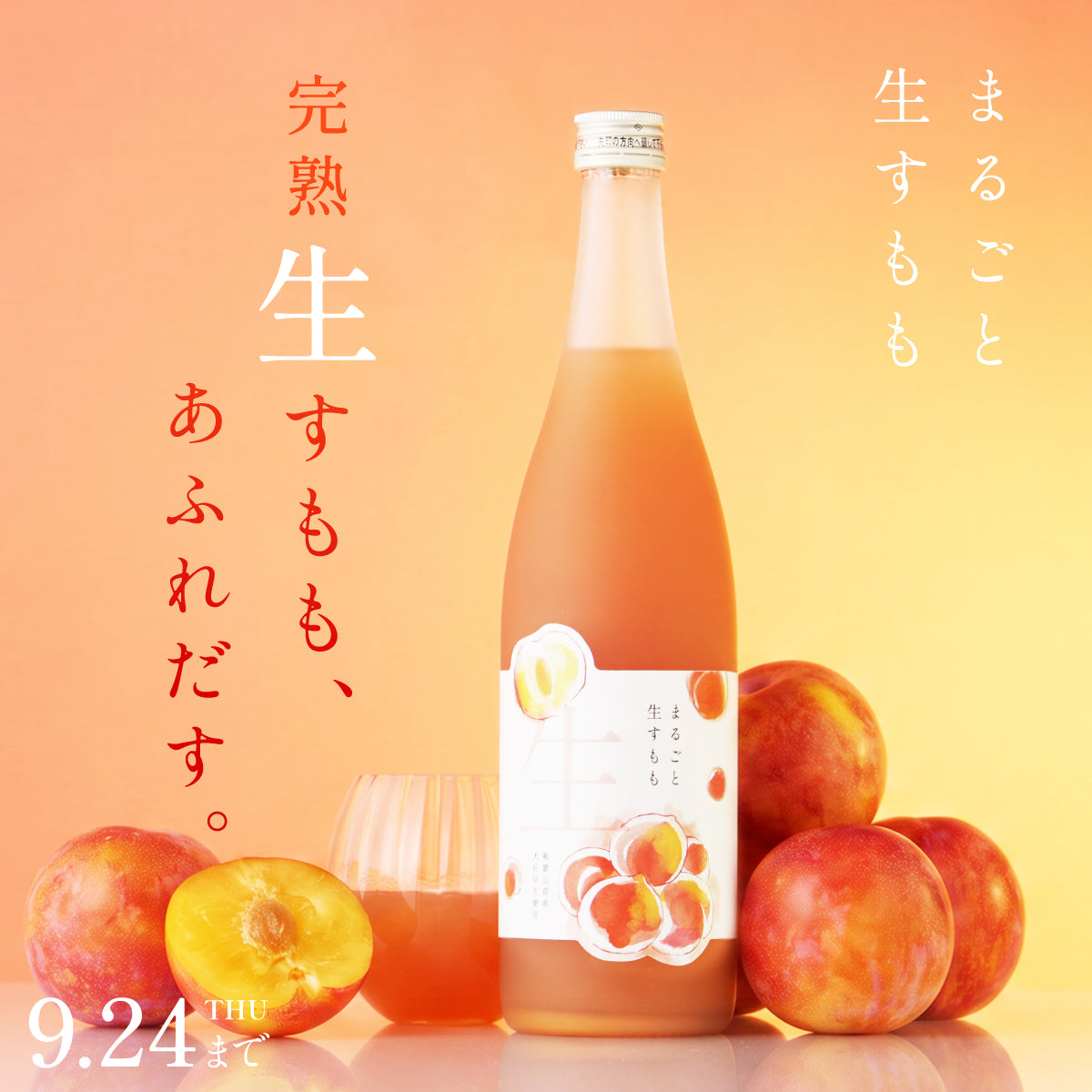 1本に完熟すももをまるっと使用。果実そのままの味わいを楽しめる生果実酒「まるごと生すもも」