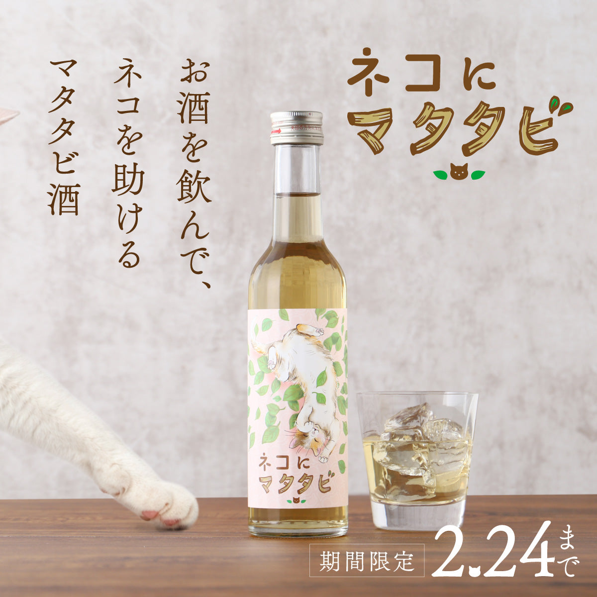 美味しいマタタビ酒を飲んで、保護ネコ活動を支援する「ネコにマタタビ」プロジェクト