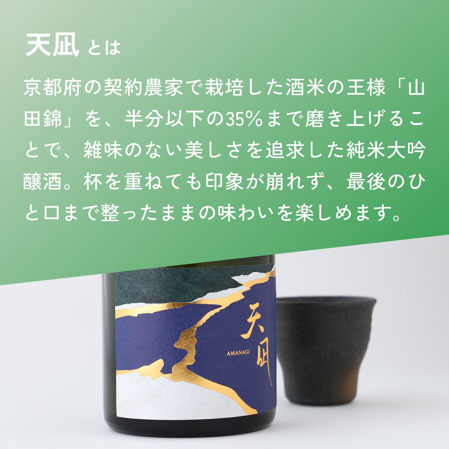 【42％OFF！】絶対日本酒好きになる！初心者向けマジ得日本酒5本セット