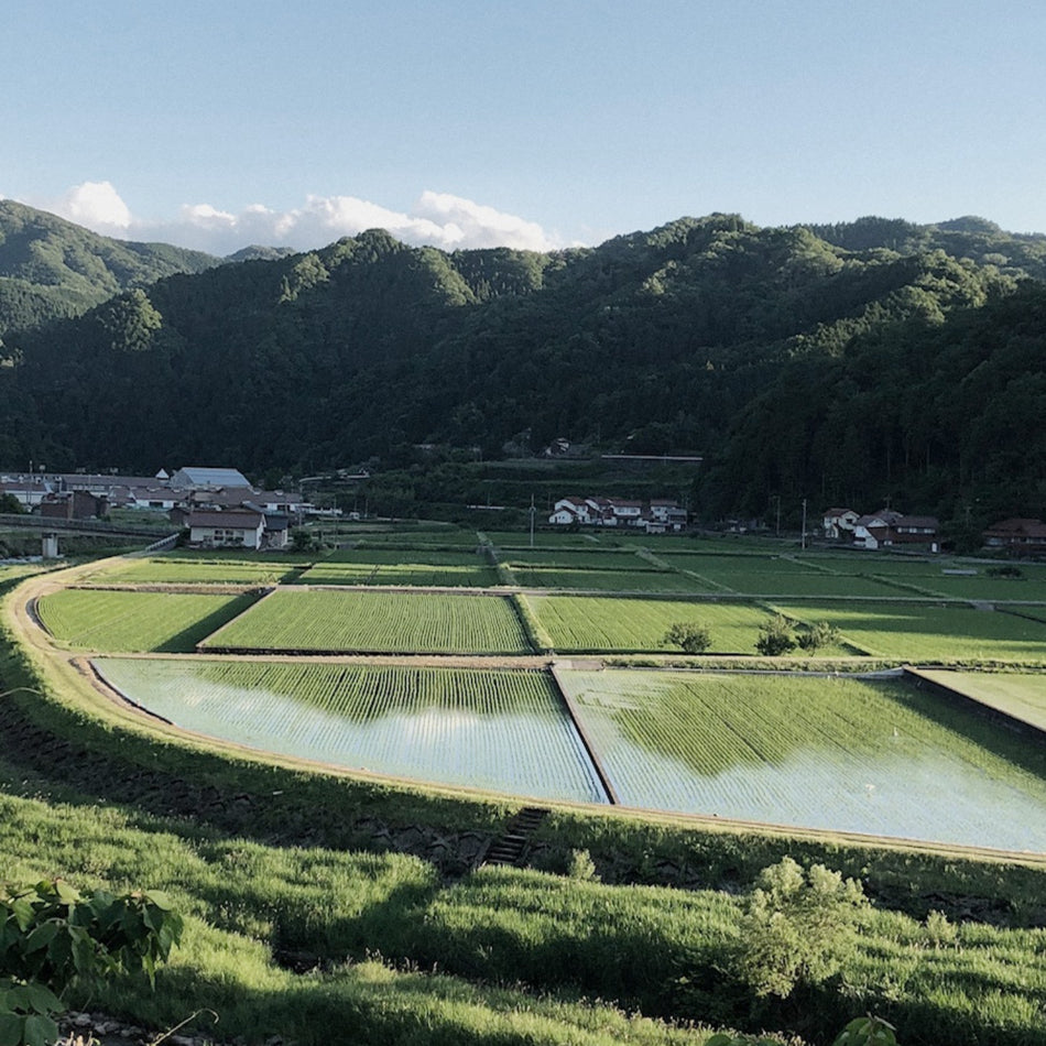 邑南 2021 | 酒・日本酒の通販ならKURAND（クランド）