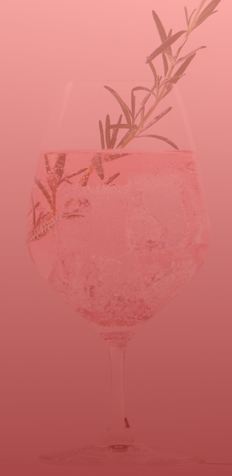 TROPICAL GIN 燦果 -sanka- | クラフト酒・日本酒の通販ならKURAND