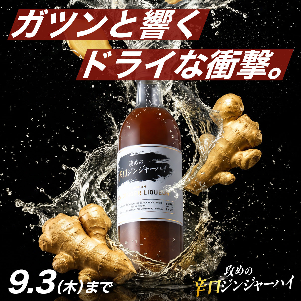 本物の辛口を求めるあなたに。生姜と厳選スパイスを限界まで詰めたプレミアムサワーベース「攻めの辛口ジンジャーハイ」