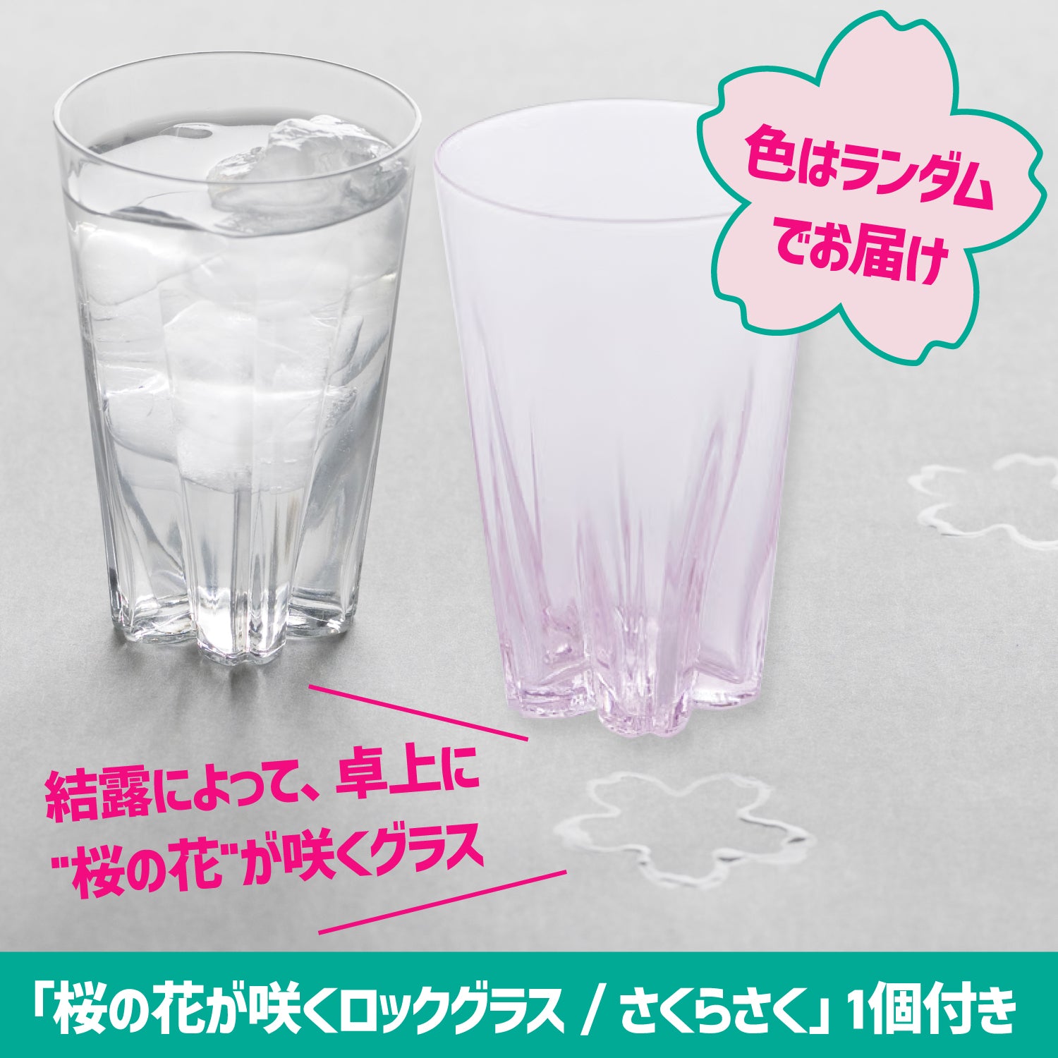 【70セット限定】LR以上1本確定！桜咲くタンブラー付き！春の満開プラン