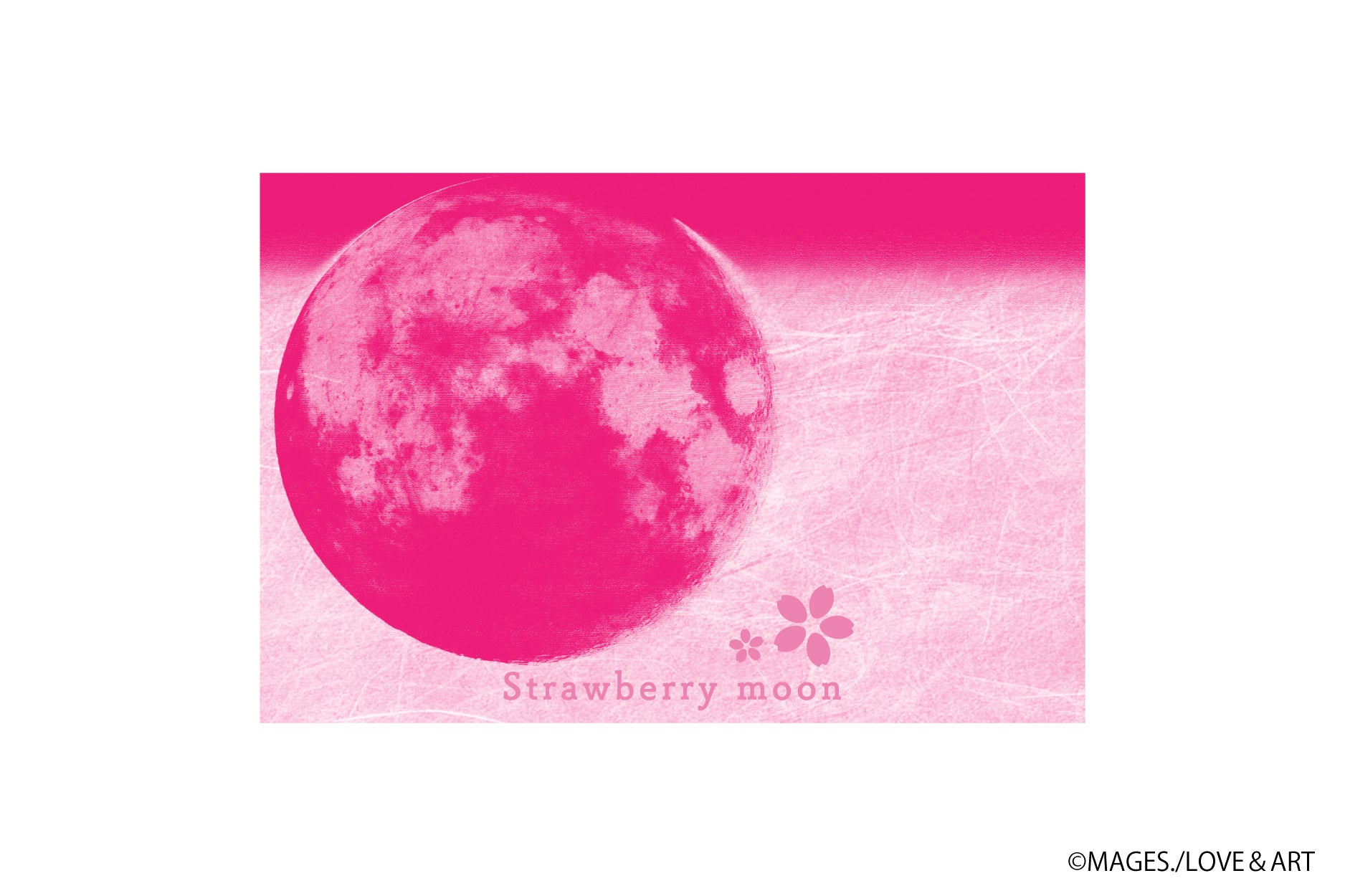 Strawberry Moon【通常版】 | 奈良県の果実酒 | クラフト酒・日本酒の通販ならKURAND（クランド）