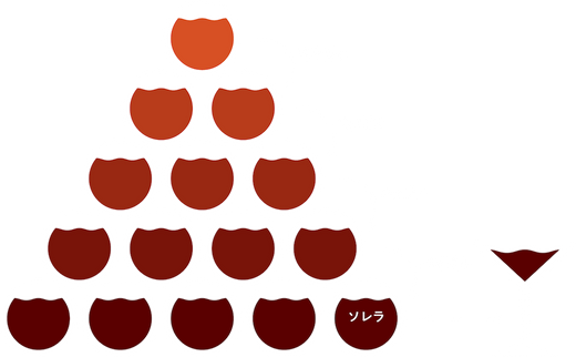 UMESHU THE AMBER SOLERA | クラフト酒・日本酒の通販ならKURAND UMESHU THE AMBER SOLERA | クラフト酒・日本酒の通販ならKURAND