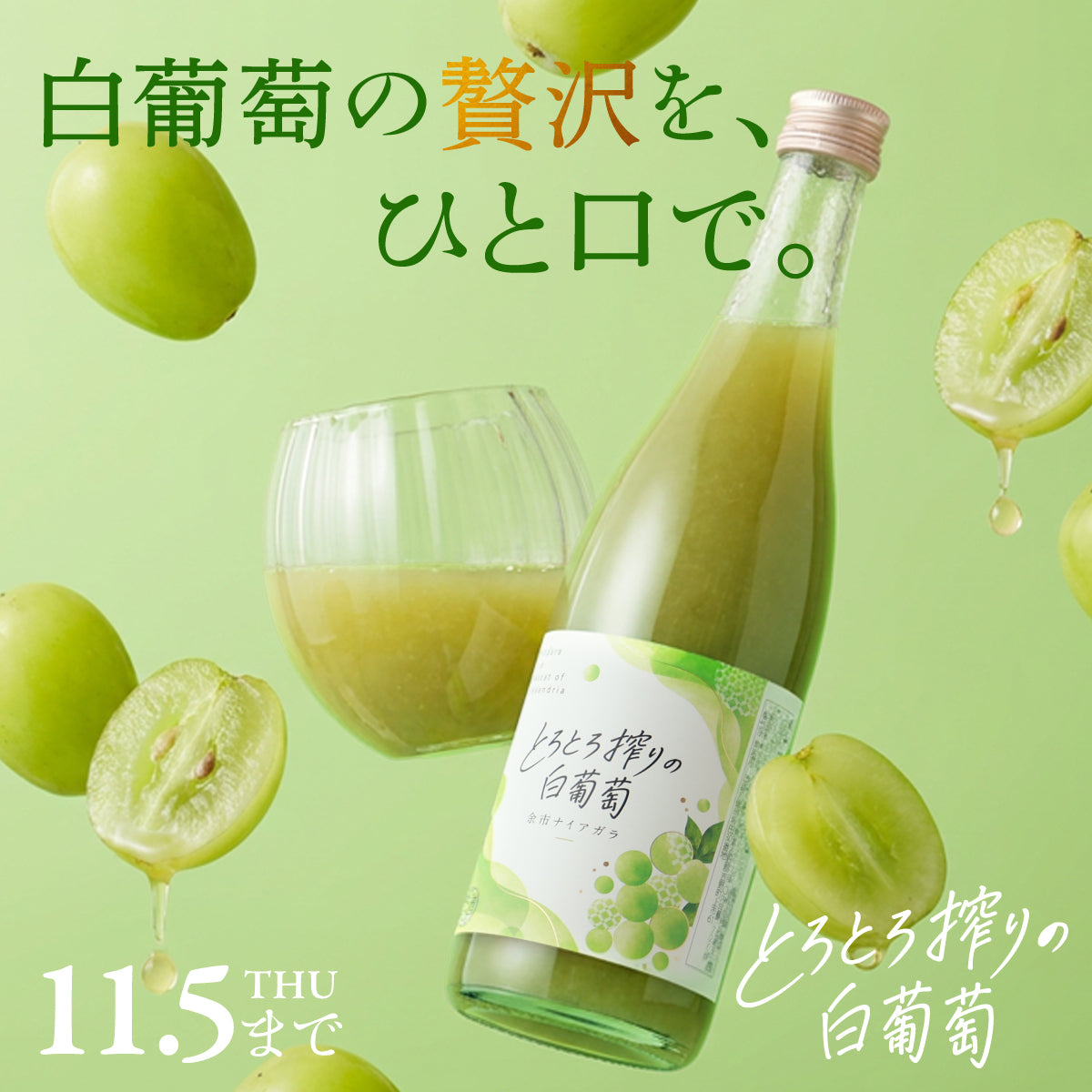 白葡萄のとろける飲み心地とあふれる果汁感を楽しむ果実酒「とろとろ搾りの白葡萄」