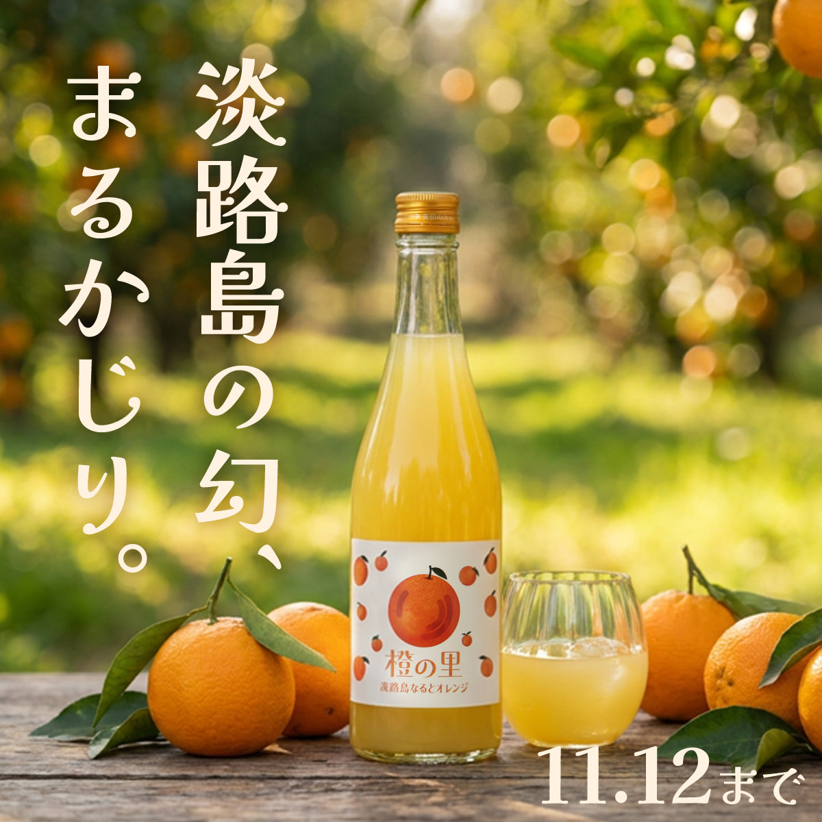 約300年守り継がれた幻の柑橘を、果汁50％も贅沢に使用した果実酒「橙の里 -淡路島なるとオレンジ-」