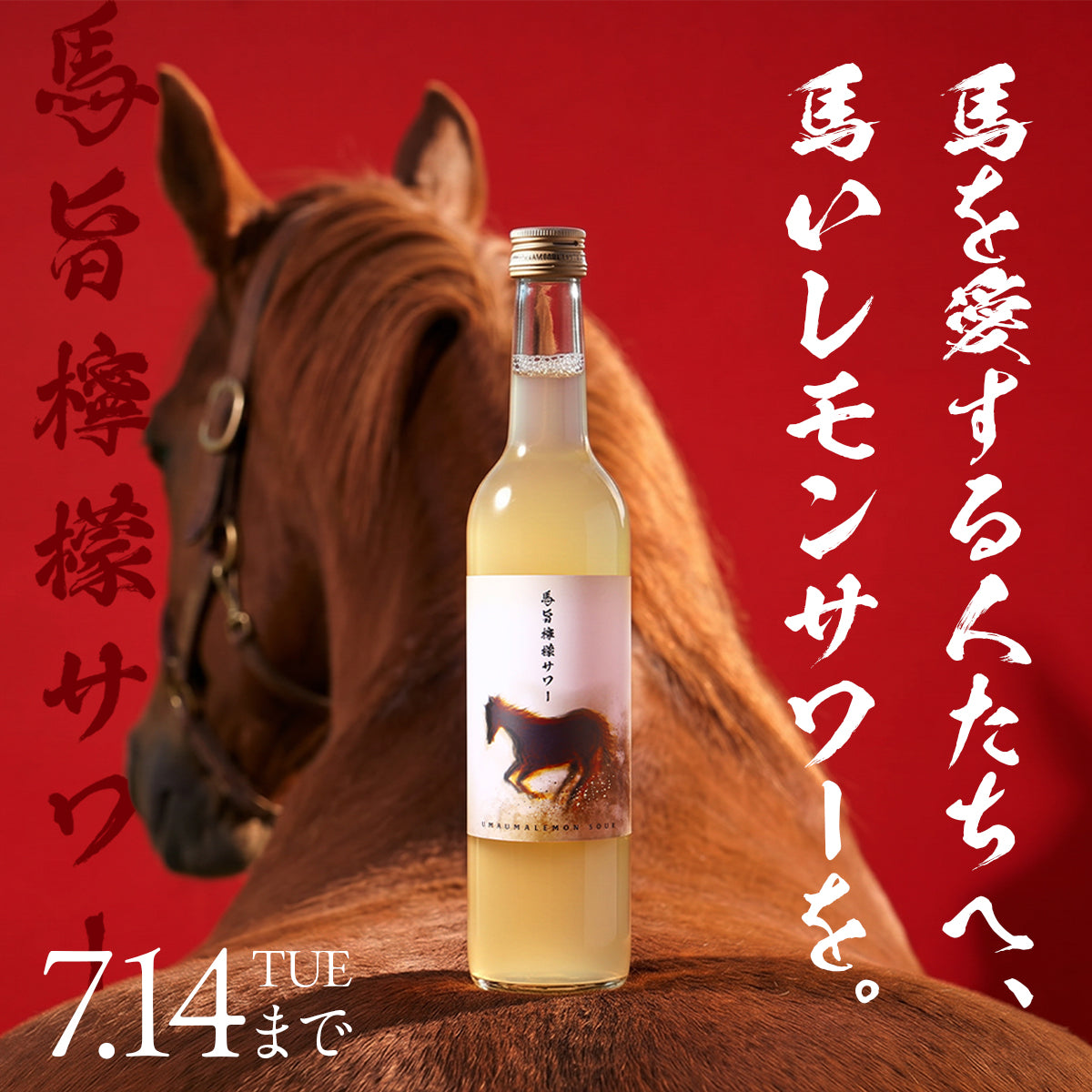 美味しい檸檬サワーを飲んで、引退馬たちを支援する「馬旨檸檬サワー」プロジェクト
