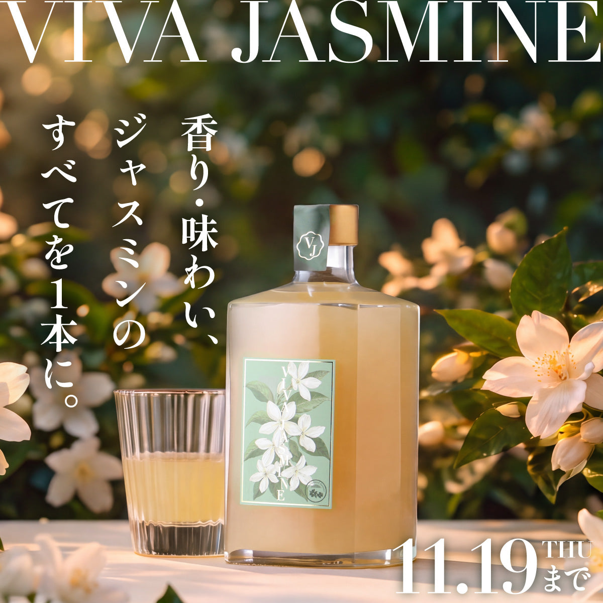 ジャスミンを愛するすべての人へ。香りを凝縮した究極のジャスミンリキュール「VIVA-JASMINE」