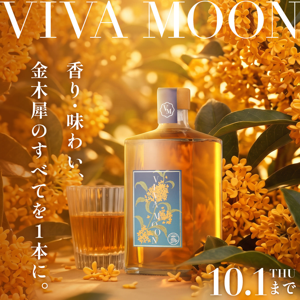 金木犀を愛するすべての人へ。本物の花を凝縮した究極の金木犀リキュール「VIVA-MOON」