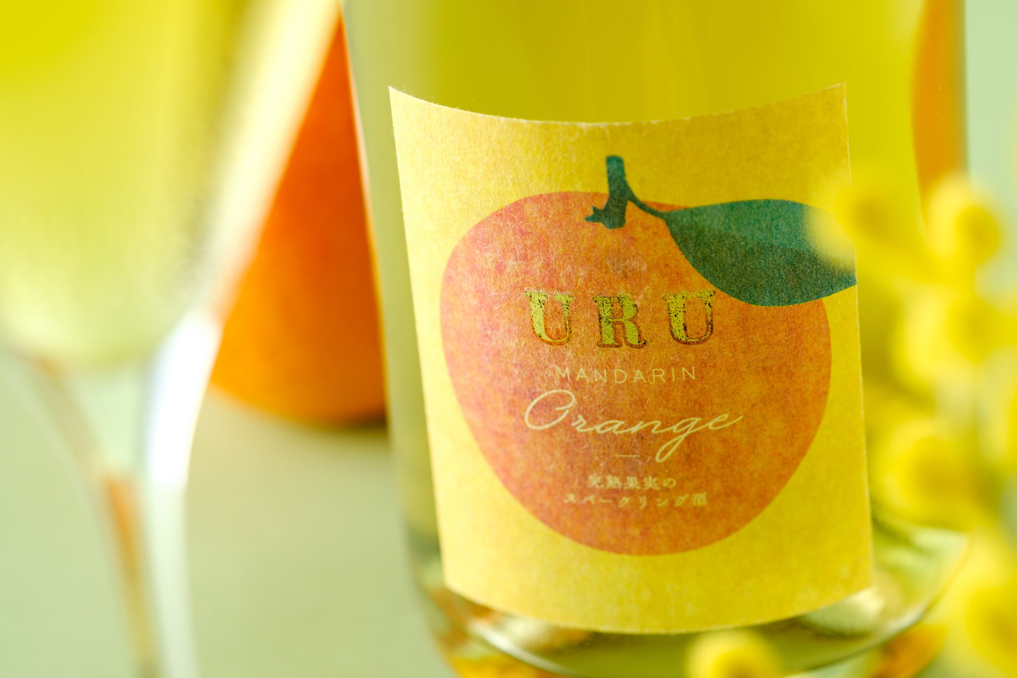 【最大10％OFF】今週のピックアップ商品（7/21~8/4）【購入期限：8/4（木）16:59まで】