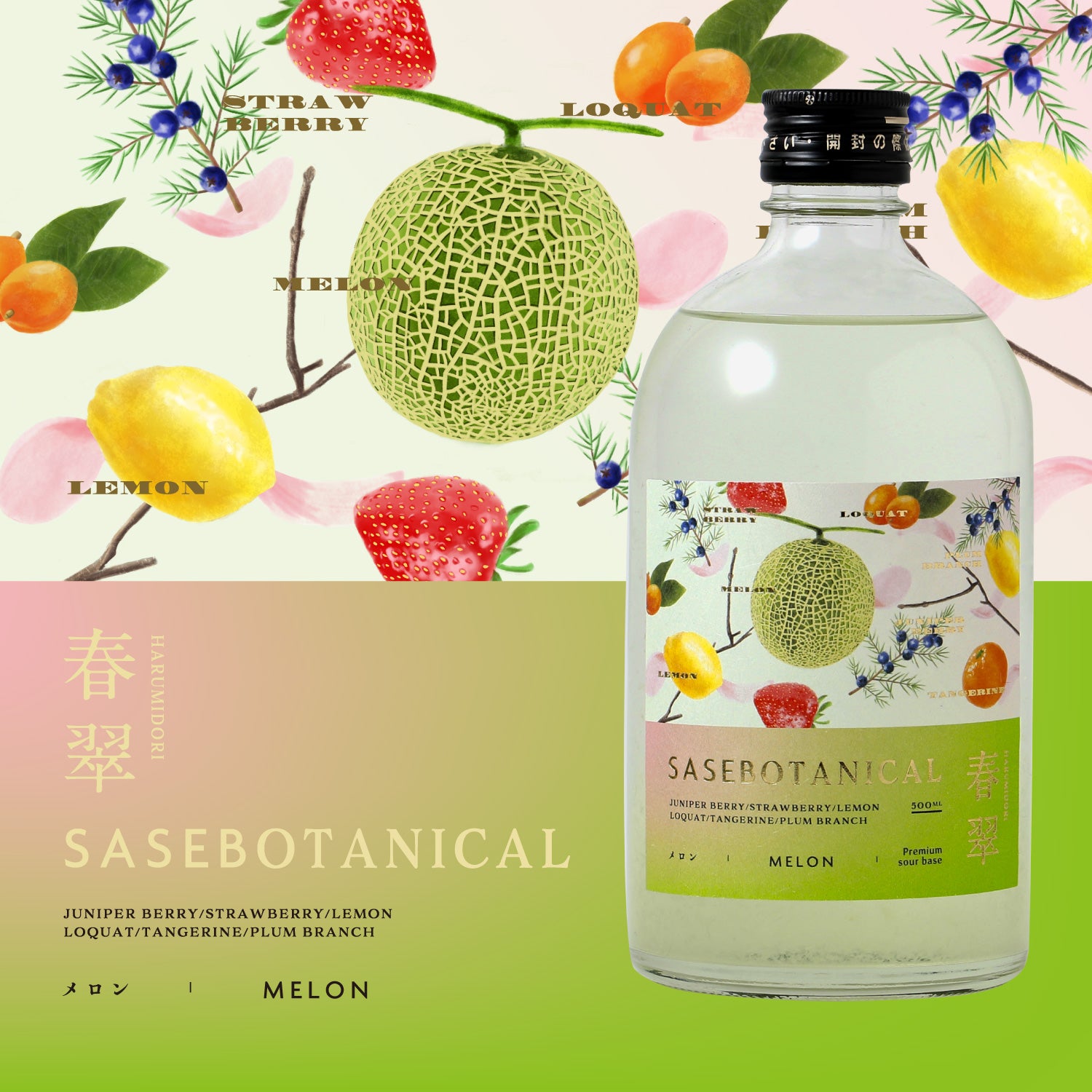 SASEBOTANICAL メロン 春翠