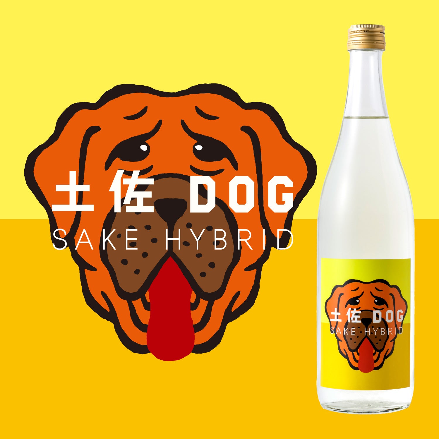 土佐DOG